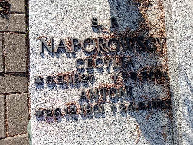 Antoni Naporowski 1901 Hanulin - Grobonet - Wyszukiwarka osób pochowanych